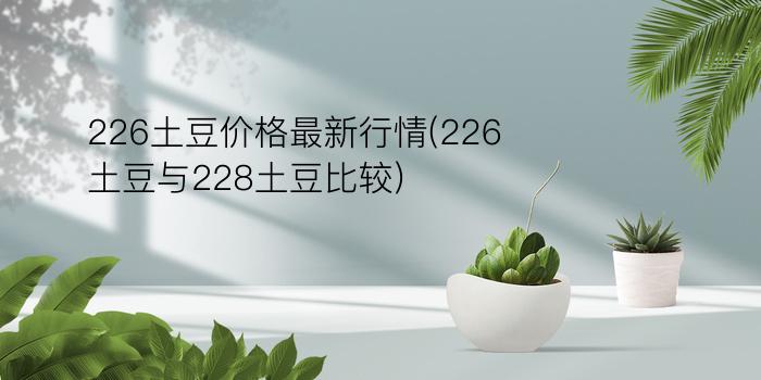 226土豆价格最新行情(226土豆与228土豆比较)