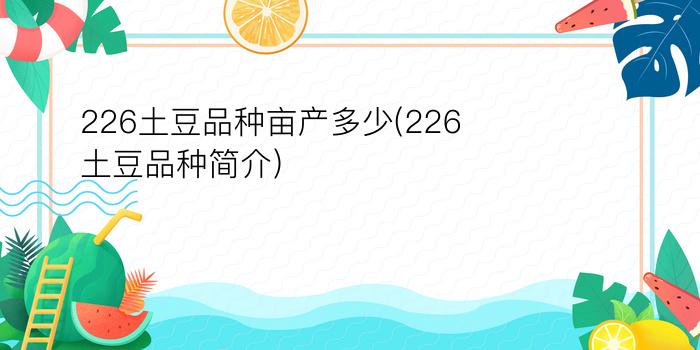 226土豆品种亩产多少(226土豆品种简介)