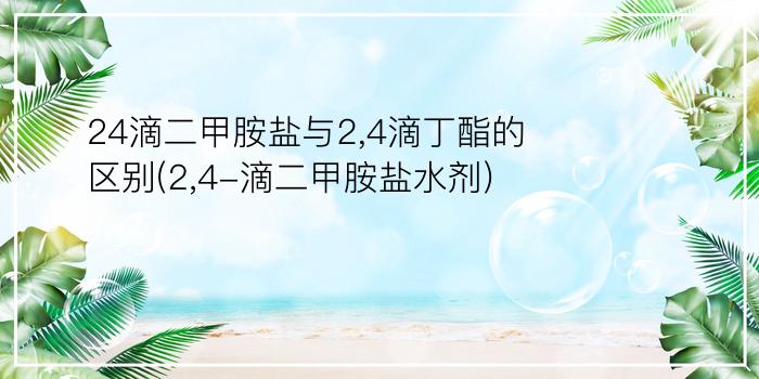 24滴二甲胺盐与2,4滴丁酯的区别(2,4-滴二甲胺盐水剂)