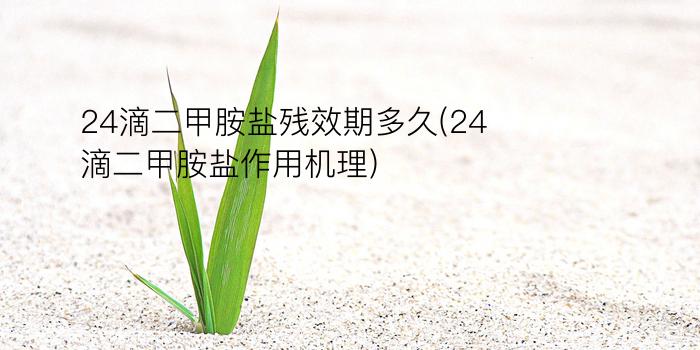 24滴二甲胺盐残效期多久(24滴二甲胺盐作用机理)