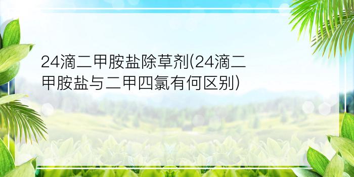 24滴二甲胺盐除草剂(24滴二甲胺盐与二甲四氯有何区别)