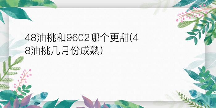 48油桃和9602哪个更甜(48油桃几月份成熟)