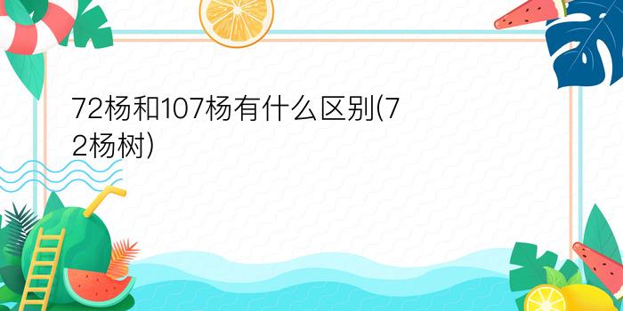 72杨和107杨有什么区别(72杨树)