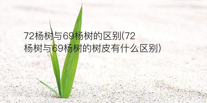 72杨树与69杨树的区别(72杨树与69杨树的树皮有什么区别)