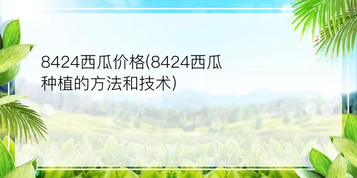 8424西瓜价格(8424西瓜种植的方法和技术)