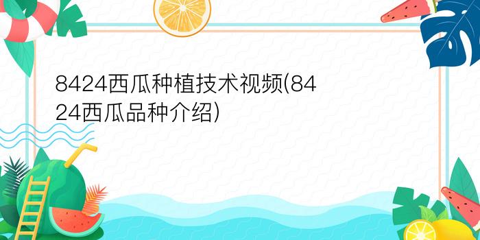 8424西瓜种植技术视频(8424西瓜品种介绍)