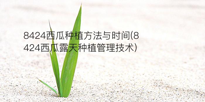 8424西瓜种植方法与时间(8424西瓜露天种植管理技术)