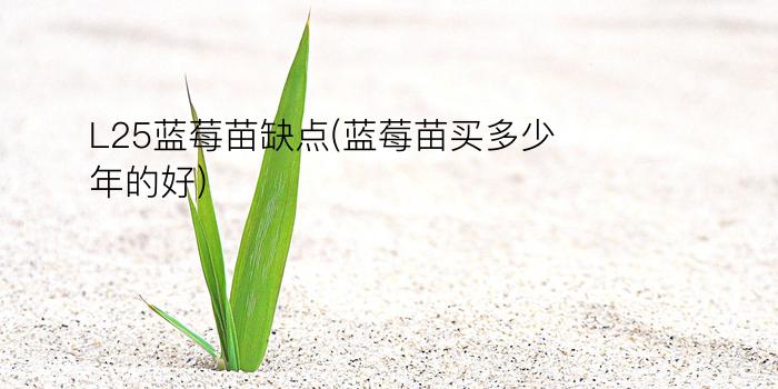 L25蓝莓苗缺点(蓝莓苗买多少年的好)