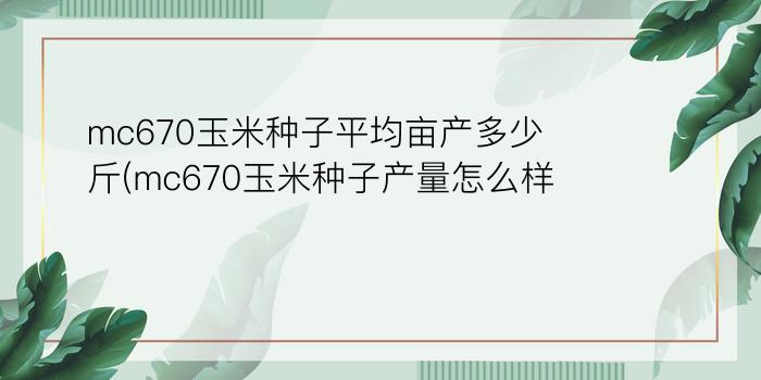 mc670玉米种子平均亩产多少斤(mc670玉米种子产量怎么样)