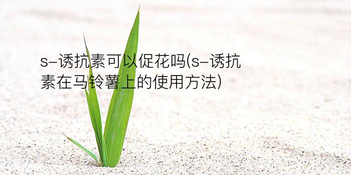 s-诱抗素可以促花吗(s-诱抗素在马铃薯上的使用方法)